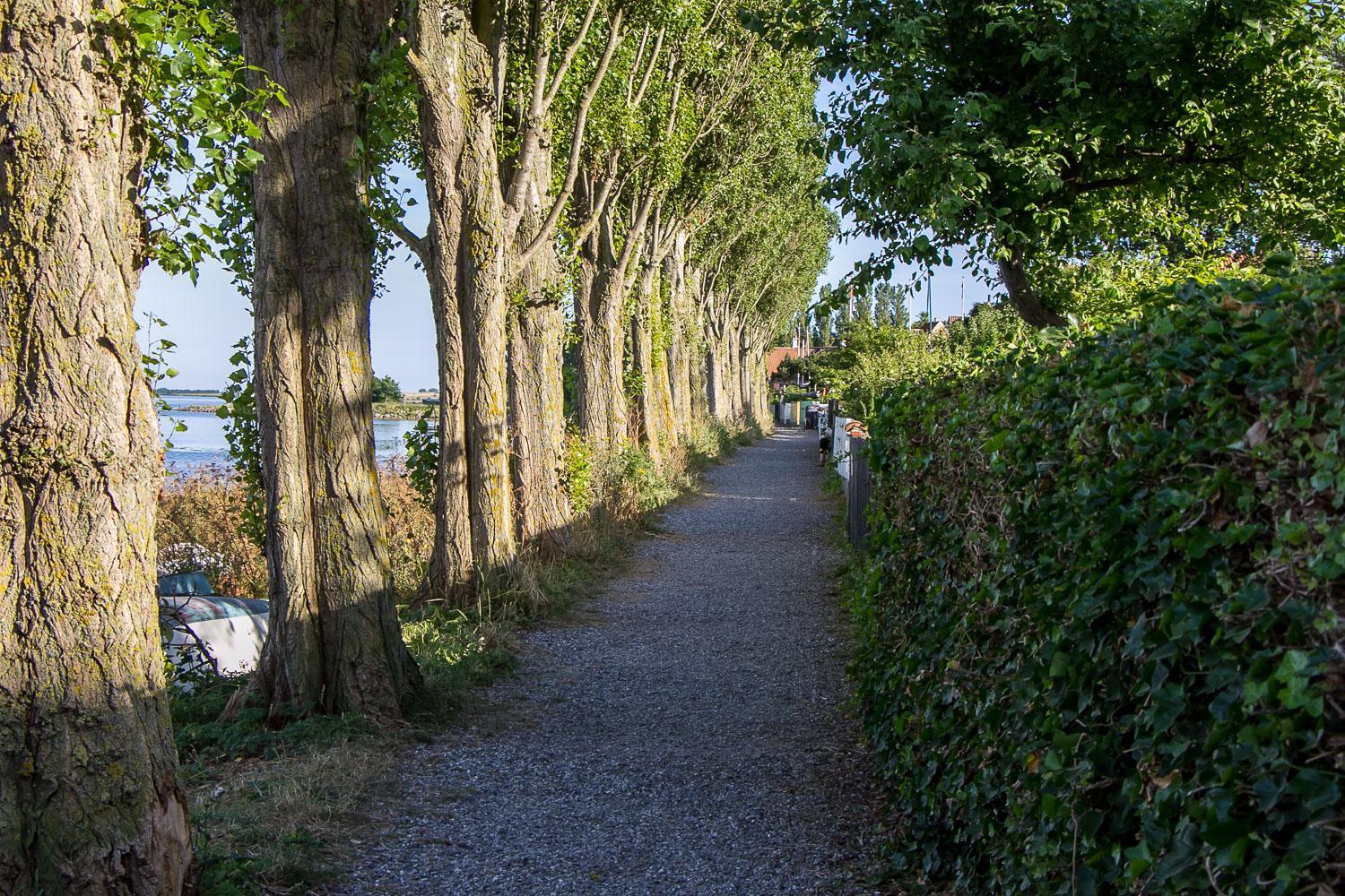 A Relaxing Finish Aero Island, Denmark Wide Angle Adventure