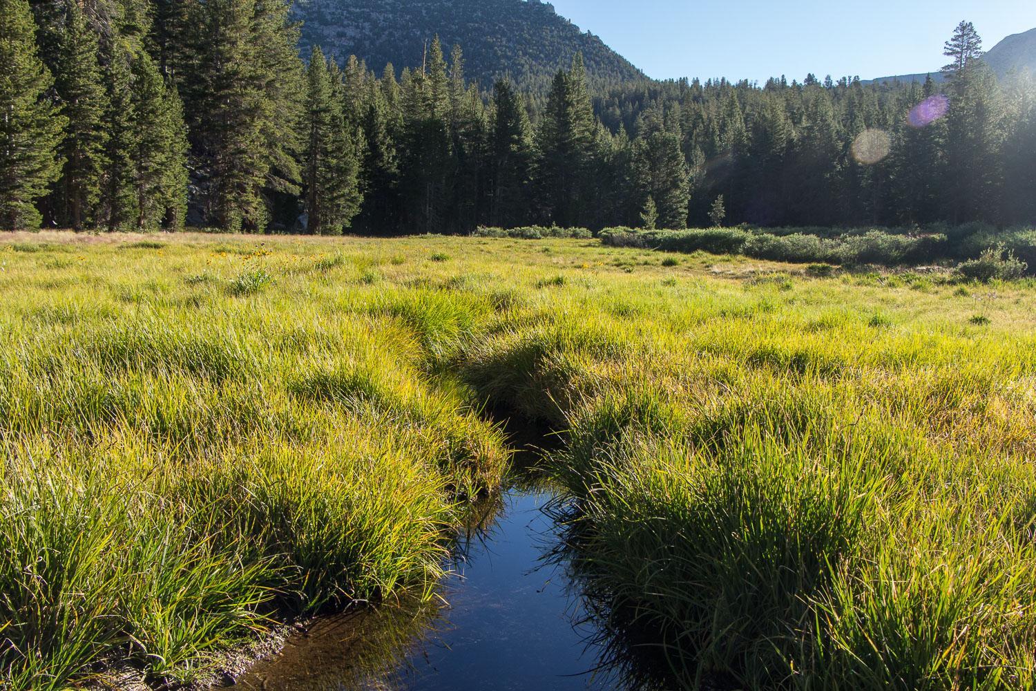 JMT Sallie Keyes Lakes to Muir Trail Ranch, John Muir Wilderness, CA